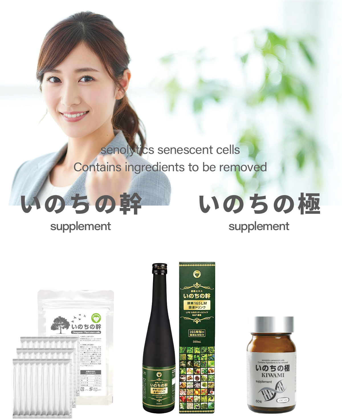 いのちの幹、いのちの極