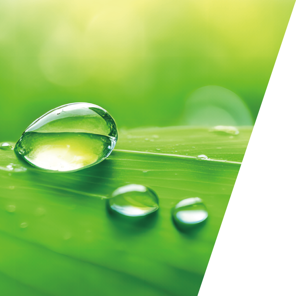 生命科学イメージ画像