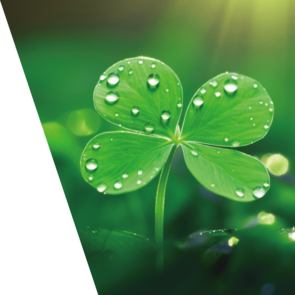 生命科学イメージ画像