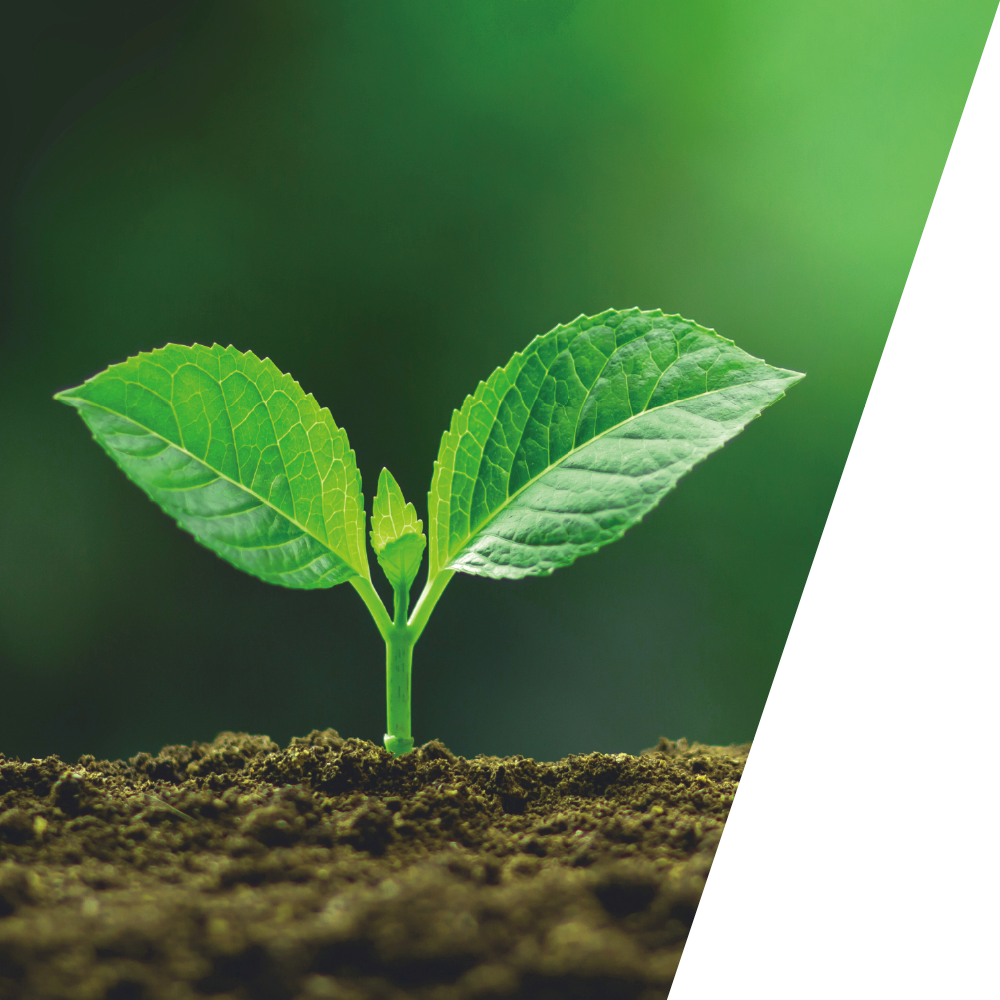 生命科学イメージ画像