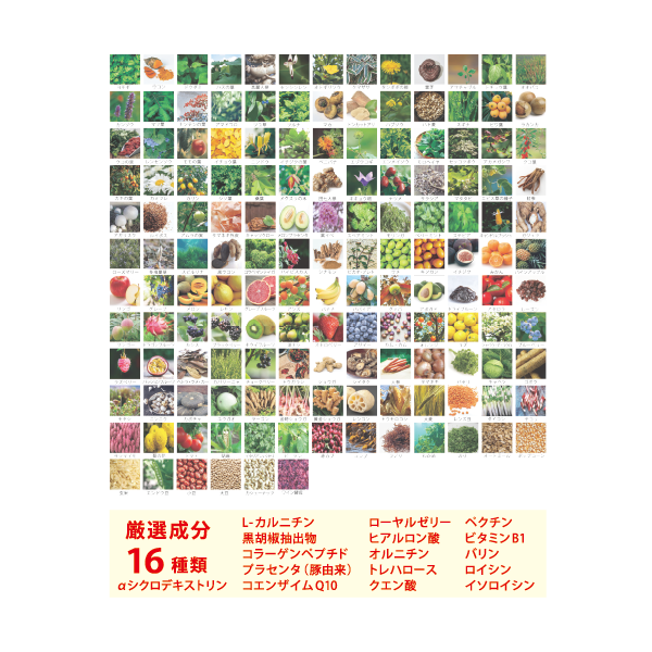 いのちの幹・酵素165LM原液ドリンク