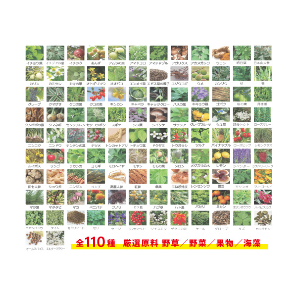 DDS 酵素パワーペーストミラクル2