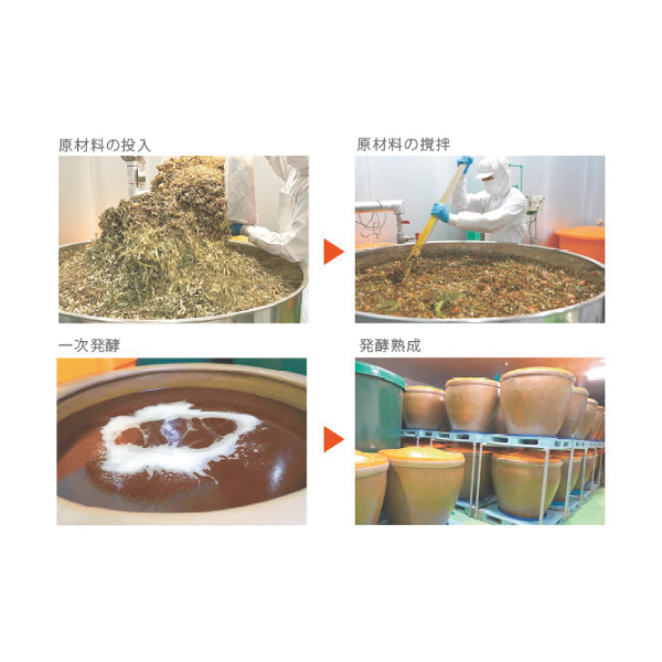 DDS 酵素パワーペーストミラクル3